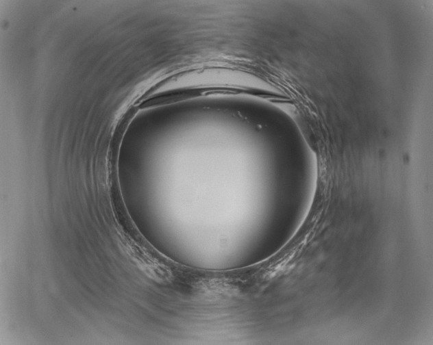 X0000067940244200604201413
