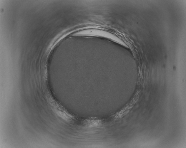 X0000067940247200604201413