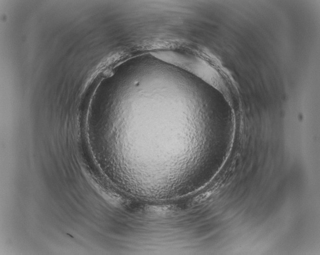 X0000067940250200604201413