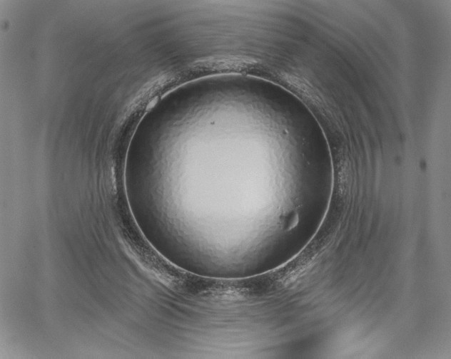 X0000067940254200604201413