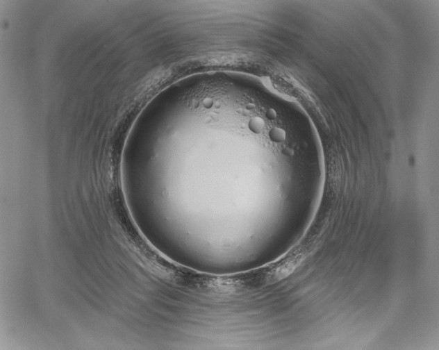 X0000067940261200604201413