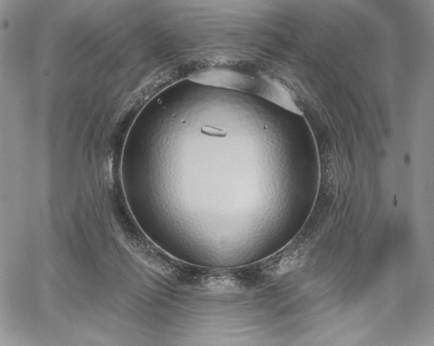 X0000067940262200604201413