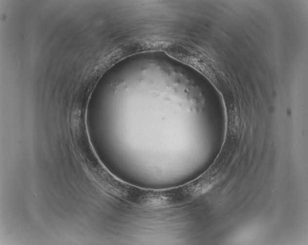 X0000067940263200604201413