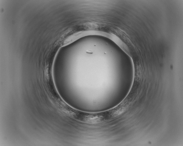 X0000067940267200604201413