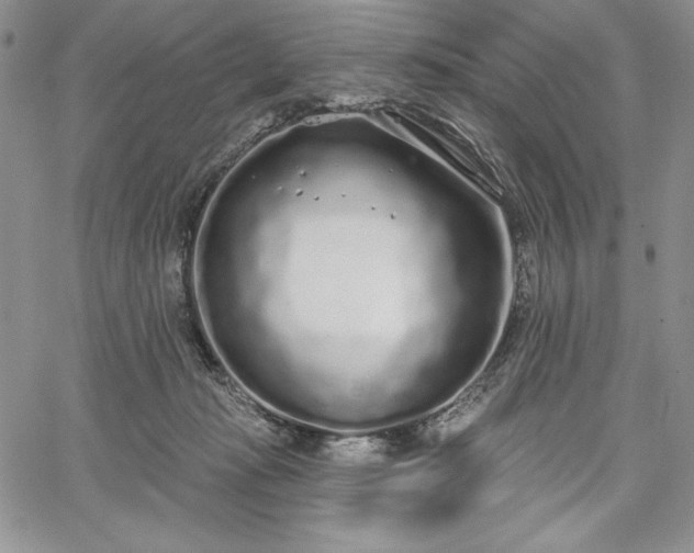 X0000067940269200604201413