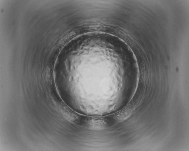 X0000067940270200604201413