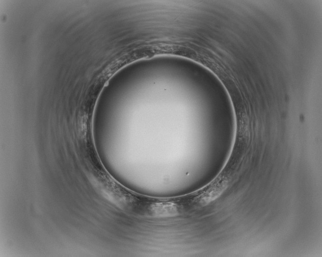 X0000067940271200604201413