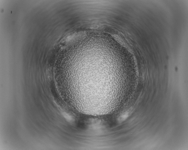 X0000067940272200604201413