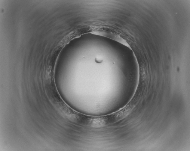 X0000067940275200604201413