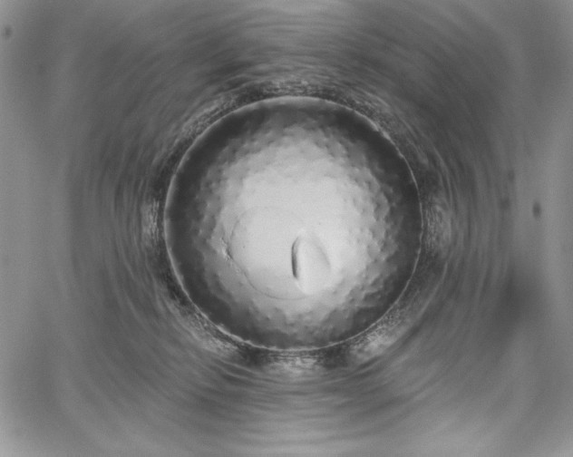 X0000067940278200604201413