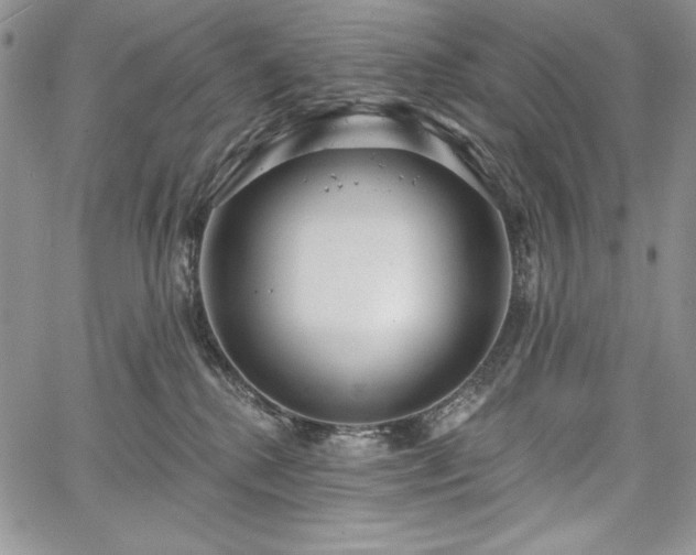 X0000067940280200604201413