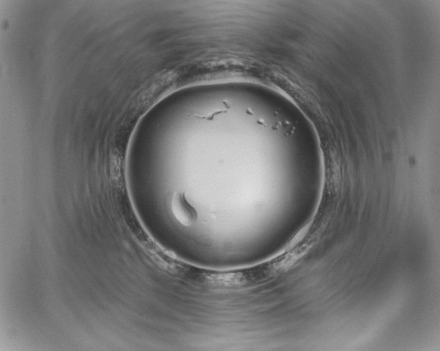 X0000067940281200604201413