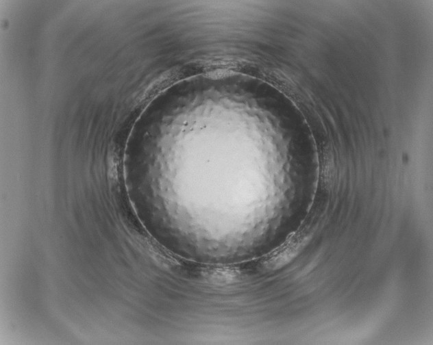 X0000067940282200604201413