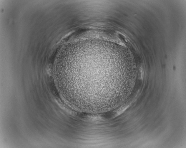 X0000067940284200604201413