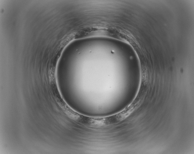 X0000067940285200604201413