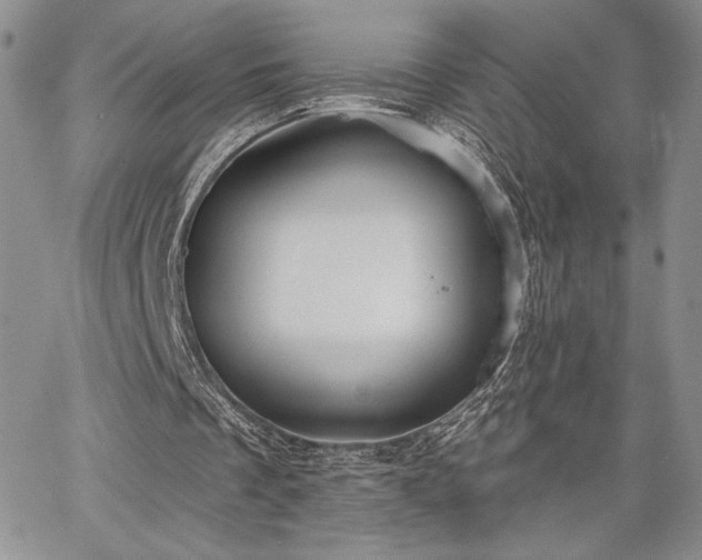 X0000067940289200604201413