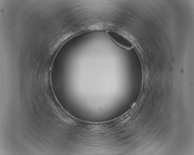 X0000067940297200604201412