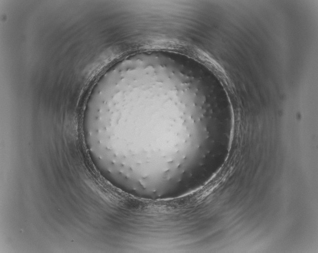 X0000067940298200604201412