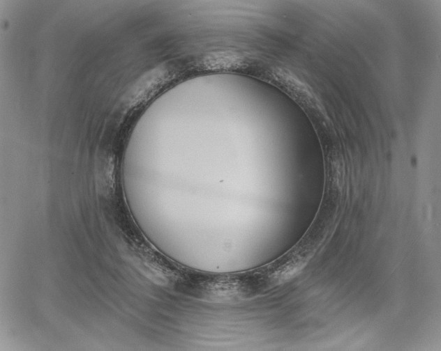 X0000067940308200604201412