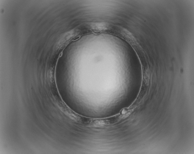 X0000067940330200604201412