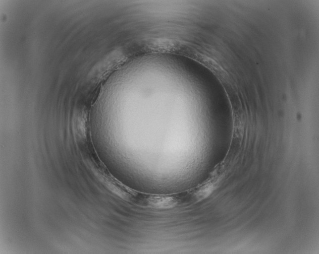 X0000067940334200604201412