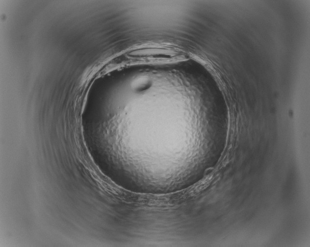 X0000067940337200604201411