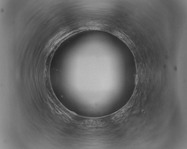 X0000067940338200604201411