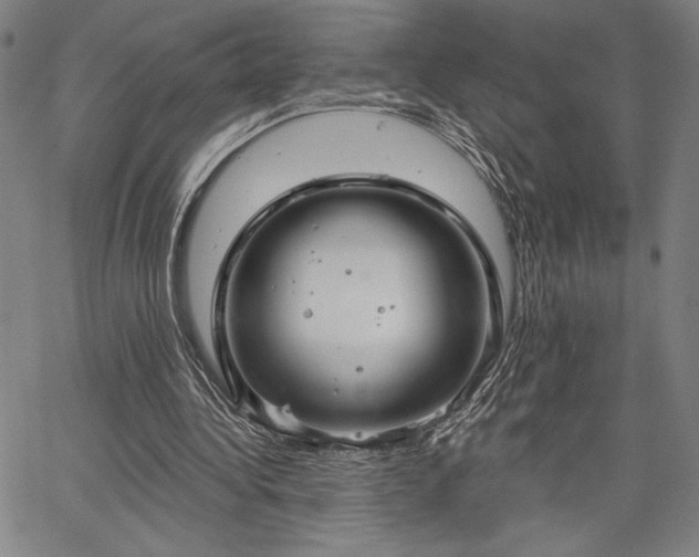 X0000067940340200604201411