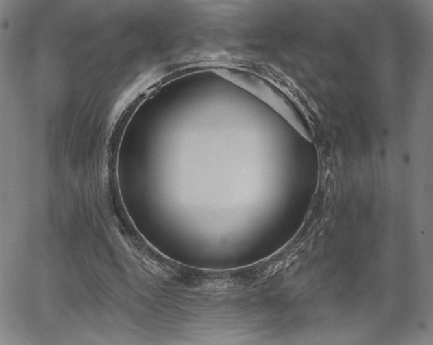 X0000067940344200604201411