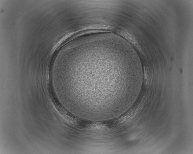 X0000067940348200604201411