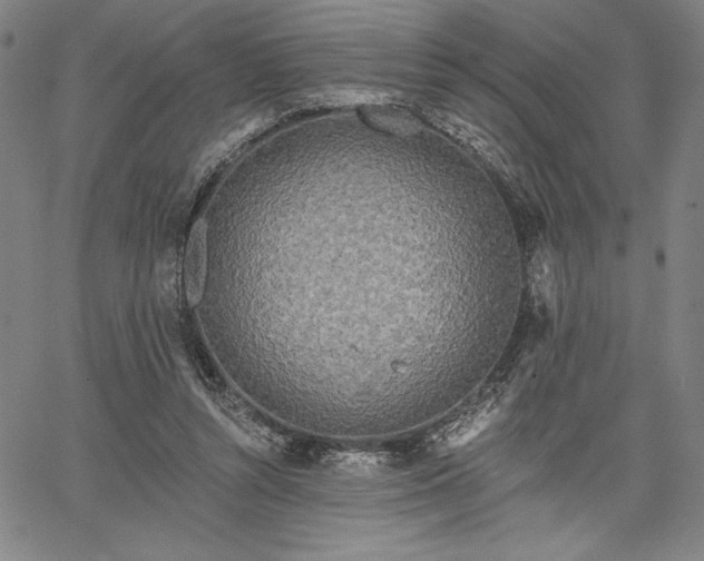 X0000067940352200604201411