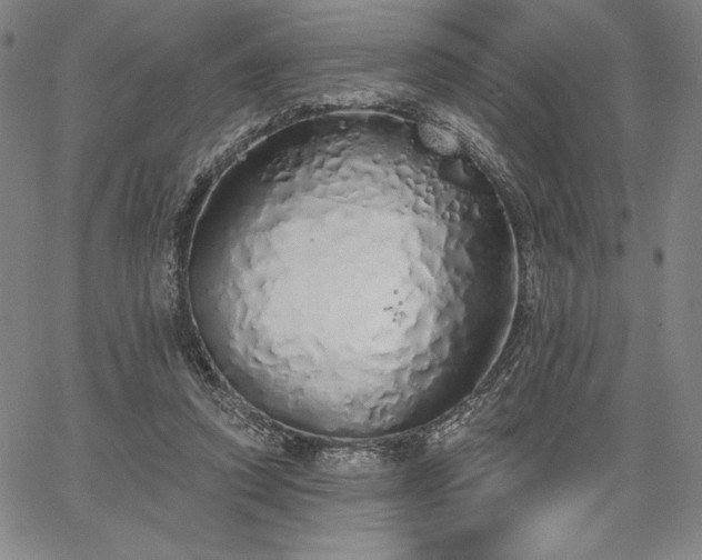 X0000067940354200604201411