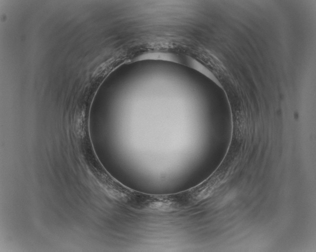 X0000067940364200604201411