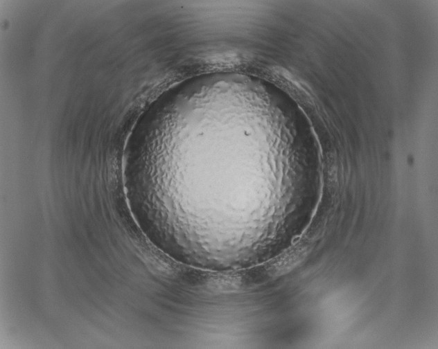 X0000067940369200604201411