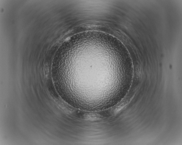 X0000067940372200604201412