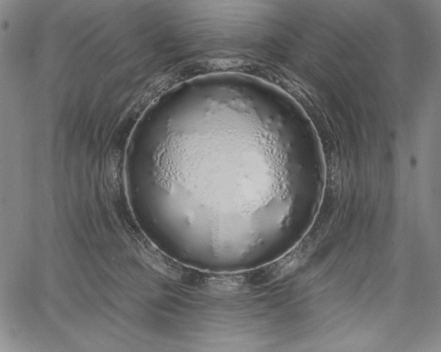 X0000067940373200604201412