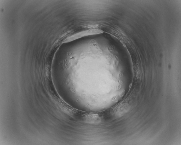 X0000067940374200604201412