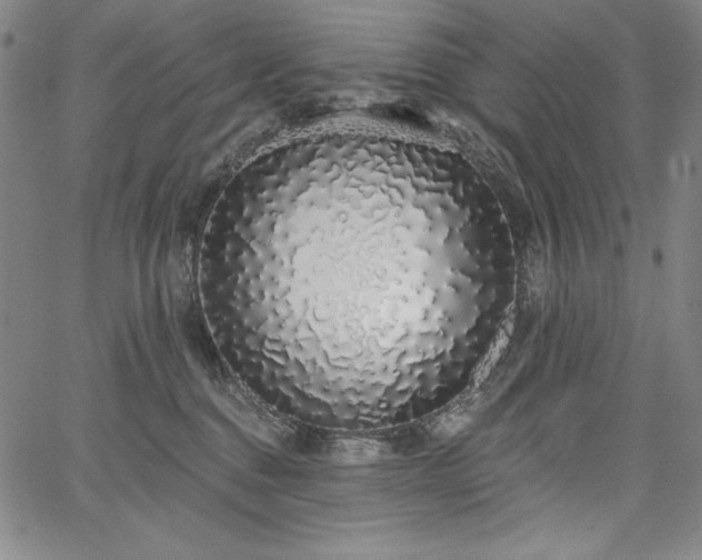 X0000067940376200604201412