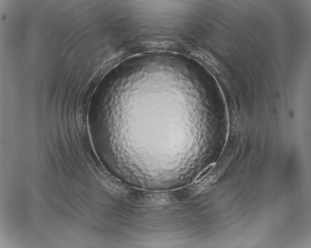 X0000067940377200604201412