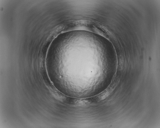 X0000067940379200604201412