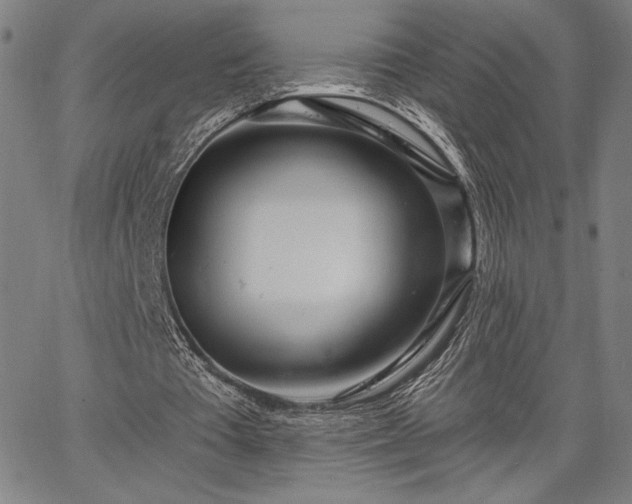 X0000067940385200604201411