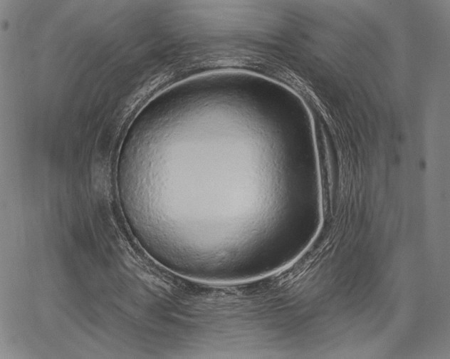 X0000067940386200604201411