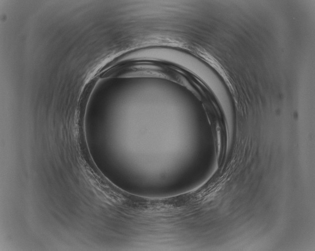 X0000067940387200604201411