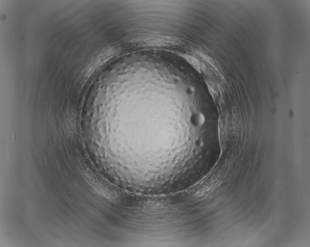 X0000067940394200604201411