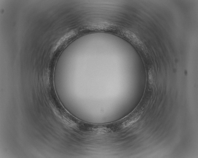 X0000067940396200604201411