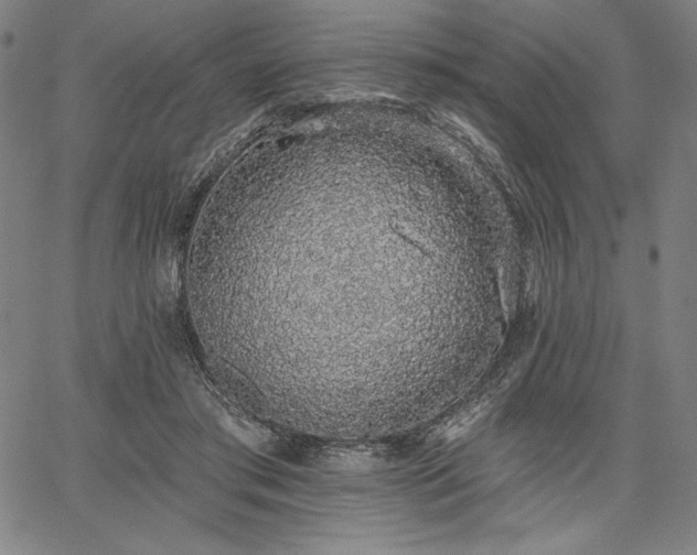 X0000067940405200604201411