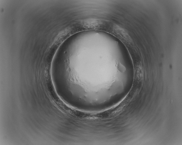 X0000067940408200604201411