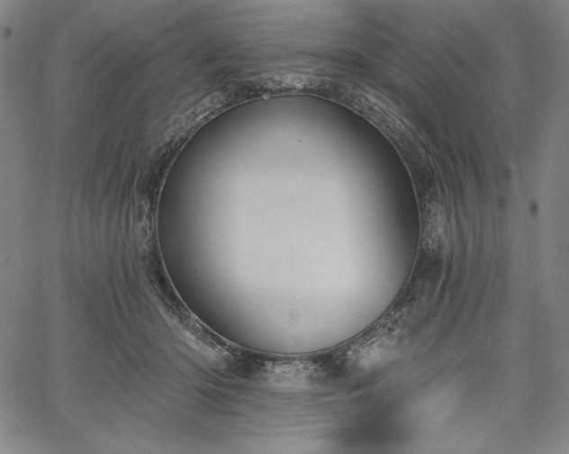 X0000067940414200604201410