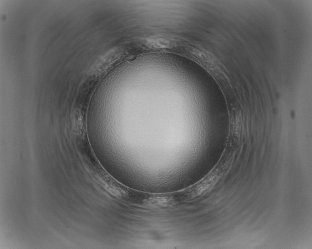 X0000067940418200604201410