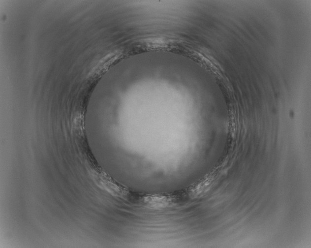 X0000067940419200604201410